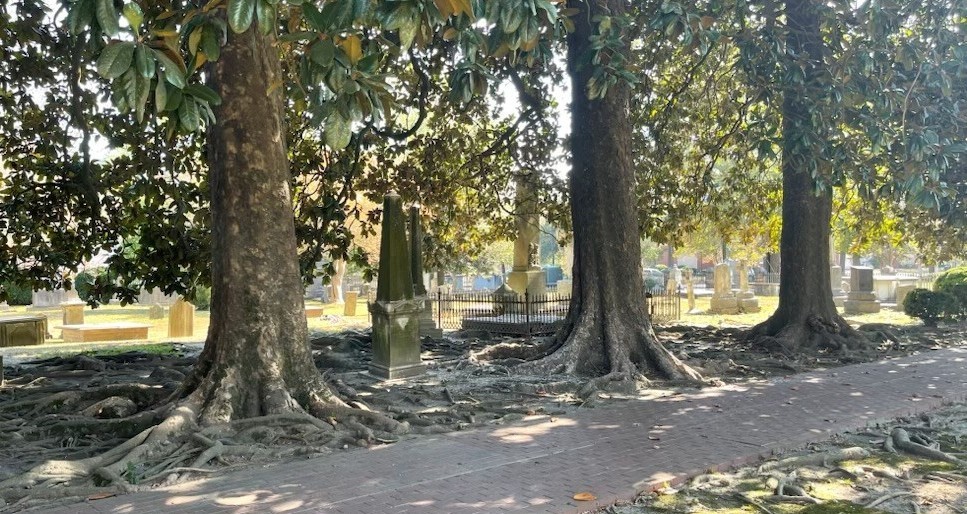 Edenton Cemetery, Chowan County
